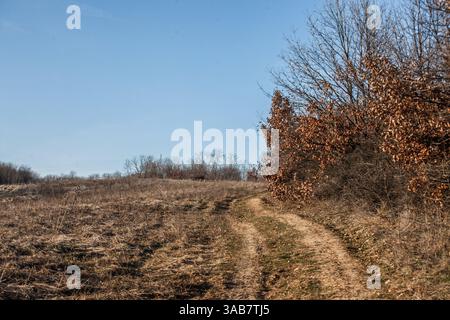 Rural dirt path winding through a dry, grassy landscape with leafless and partially dried trees, representing serene countryside scenery in serbia. Stock Photo