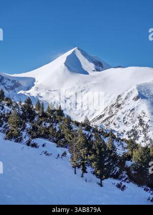 Majestic rocky mountain peak covered with snow and green fir forest in the foreground Stock Photo