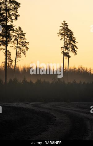Silhouettes shapes layers of trees against an orange morning light with a curved road in the foreground vertical composition Stock Photo