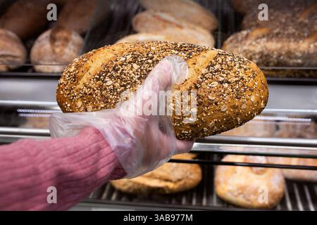 A hand in a pink sleeve uses a plastic glove to pick up a fresh multigrain loaf from a bakery display of a supermarket. The bread features seeds and o Stock Photo