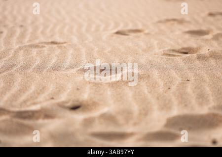 Close-up shot of a sandy beach in Fuerteventura, showcasing intricate ripples and textures, highlighted by a soft, natural light. Stock Photo