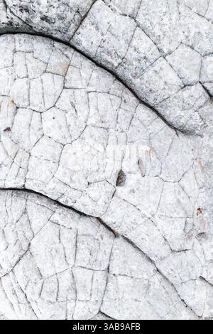 A close-up view capturing the intricate, abstract patterns formed by natural cracks on a surface of white rocks. Stock Photo