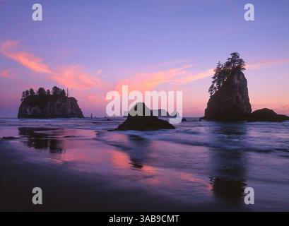 The sky glows in shades of pink and purple as the sun sets over Second Beach, with sea stacks rising from the Pacific Ocean and their reflections shim Stock Photo