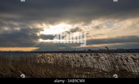 A mesmerizing sunset over a Leman lake, with sun rays breaking through thick, dramatic clouds in Geneva, Swiss. Reeds sway in the breeze, adding to th Stock Photo