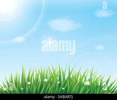 Nature background with green grass and blue sky. Vector illustration Stock Vector
