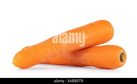 Two carrots laying down side ways, one on top of the other. Isolated on a white background Stock Photo