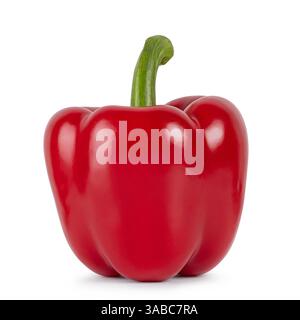 Red bell pepper standing. Isolated on a white background Stock Photo