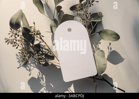 Floral wedding, birthday mockup. Empty arch round paper gift tag, label. Blurred dry eucalyptus tree branches on beige table background in sunlight Stock Photo
