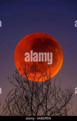 Total Lunar Eclipse Stock Photo Alamy Total Lunar Eclipse Stock Photo Alamy