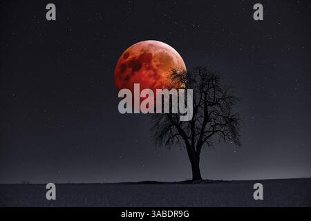 Total lunar eclipse,"Blood Moon" with tree silhouette, Pennsylvania USA Stock Photo