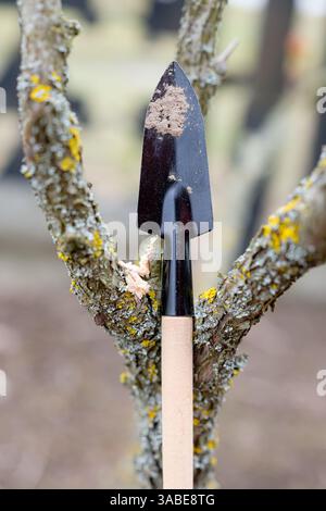Small gardening trowel on a lichen-covered tree branch. Uprooting and transplanting plants. Blurred background. Shallow depth of field. Stock Photo