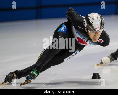 March 15, 2018 - Montreal, Canada - Japan team during practice for the ISU World Short Track Speed Skating Championships. (Credit Image: © Patrice Lapointe via ZUMA Wire) Stock Photo