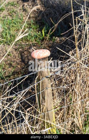 Large painted stone pebble on top of a fence post Stock Photo