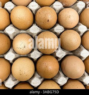 top view of organic brown chicken eggs organized on egg tray Stock Photo
