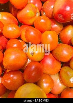 fresh tomatoes displayed on market as food background Stock Photo