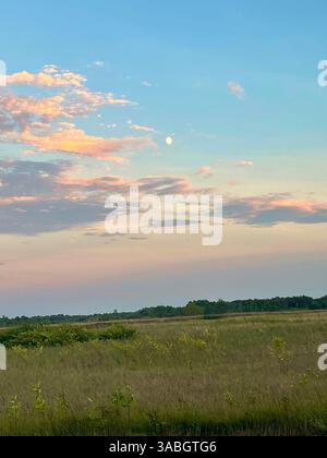 Scenic open field at sunset with pastel-colored clouds and the moon visible in the evening sky. Stock Photo