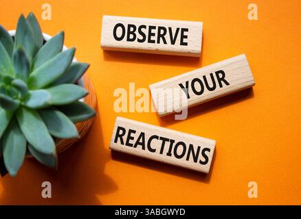 Observe your Reactions symbol. Concept word Lets do this on wooden blocks. Beautiful orange background with succulent plant. Business and Lets do this Stock Photo