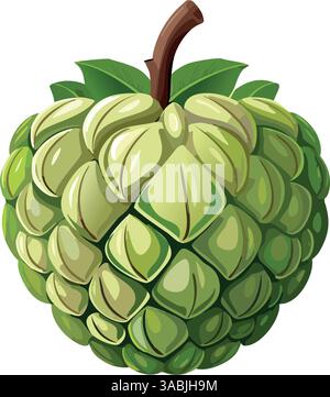 Green Custard Apple Fruit. Stock Vector