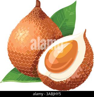Salak Fruit with Leaves Vector. Stock Vector