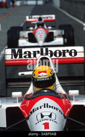 【非売品】 91 F1 GRAND PRIX in JAPAN Formula 1 Grand Prix'91 PART2 - Japanese original LASER DISC
