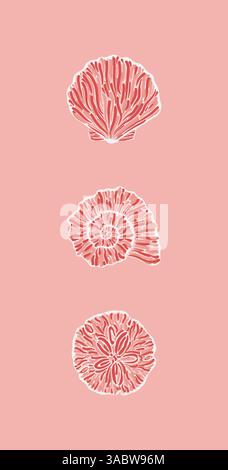 Illustrations of various shell designs depicted with intricate white ...