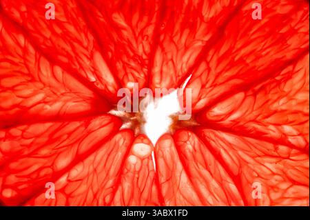 Slice of red grapefruit that is backlit, full frame Stock Photo