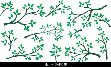Tree branch with young green leaves set. Deciduous tree branches collection. Spring awakening of nature, tree shoots with foliage. Twigs clip art Stock Vector