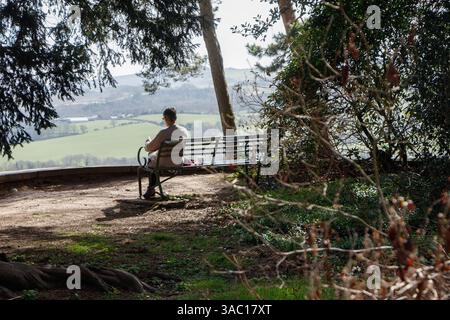 older woman reading a book on park bench overlooking parkland and trees silhouetted by the sun Wentworth Castle in Barnsley, South Yorkshire, England. Stock Photo