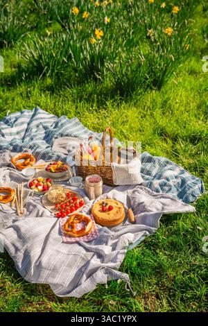 Picnic duvet and basket with different food, fruits, cake and pretzels on green grass in a park Stock Photo