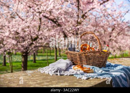 Picnic duvet and basket with different food, with blooming cherry tries in a park Stock Photo