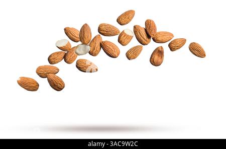 Shelled almonds floating isolated on white background. Stock Photo