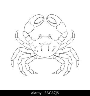 A detailed black and white drawing of a crab on a white background Stock Vector