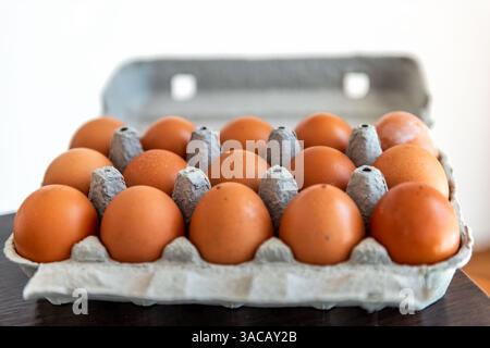 Pasture raised unwashed farm fresh brown bulk fifteen eggs from store bought farmer in carton box container with eggshells texture Stock Photo
