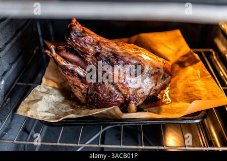 Pig head cooked animal pork meat side view ready for eating on baking tray sheet in kitchen home inside oven roasting Stock Photo