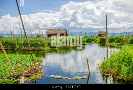 Inle Lake, Myanmar. Landscape view of floating gardens growing produce in the shallow lake water. Stock Photo