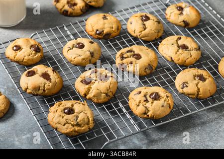 Homemade Miso Chocolate Chip Cookies with Sea Salt Stock Photo