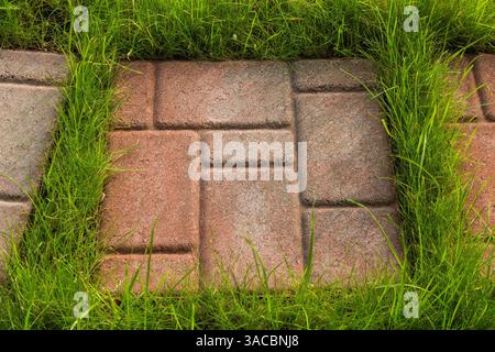 Close-up of tan and beige paving stone in stepping stone path on grass lawn in backyard in summer. Stock Photo