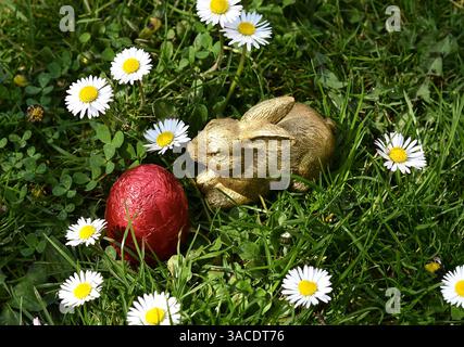 Golden Rabbit with Red Egg and Daisies Stock Photo