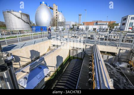 Dortmund, Germany. 04th Apr, 2025. The basin for the introduction of ...