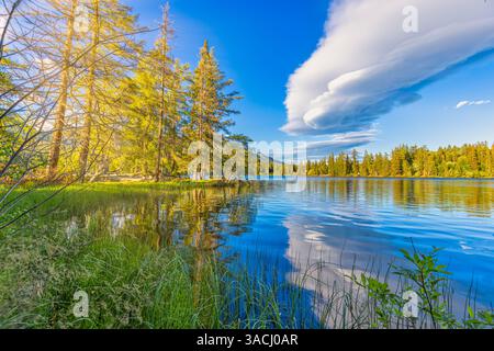 Mountain lake in summertime. great outdoor nature scenery. Pine forest with tall trees on the shore reflecting in clear water. deep blue sky clouds Stock Photo