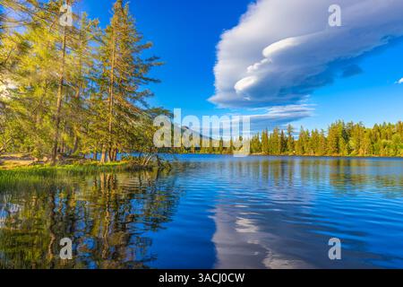 Mountain lake in summertime. great outdoor nature scenery. Pine forest with tall trees on the shore reflecting in clear water. deep blue sky clouds Stock Photo