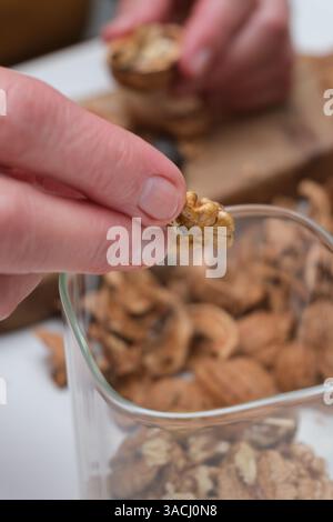 Close-up of an older woman's hands cracking walnuts and storing them in a jar Stock Photo