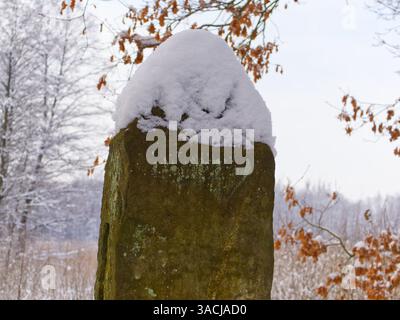 Concrete pillar with snow cap and trees in the background and one tree with brown leaves Stock Photo