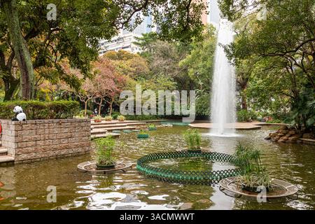 The lotus pond in Kowloon Park, Kowloon, Hong Kong, China Stock Photo