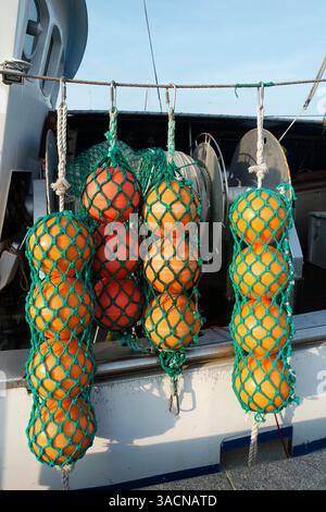 Fishing buoys on a trawler Stock Photo - Alamy