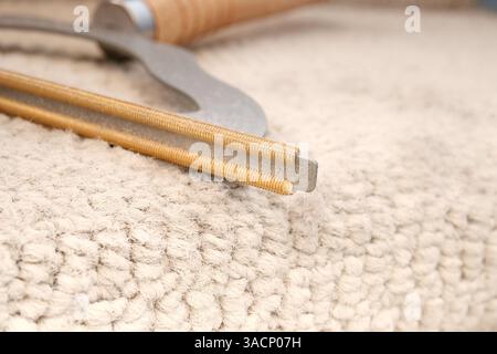 Carpet rake blade close up. Carpet brush or comb on carpet stairs. Pet hair remover with wooden handle. Cleaning gadget used to remove hair and lint f Stock Photo