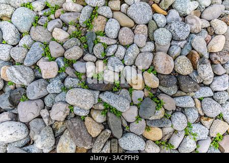 Garden pebbles background. Artistic top view background. Grey pebbles texture resembling a natural stone background, grey, pebbles, texture, natural Stock Photo