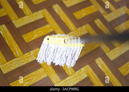 mop on a carpet floor Stock Photo