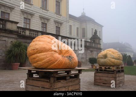 Ludwigsburg, Germany - November 11, 2021: Two large pumpkins dispayed at the Ludwigsburg Pumpkin Festival on a foggy autumn day in Germany. Stock Photo