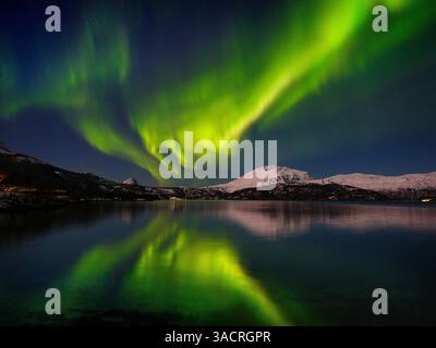 Northern lights over the Salangen Fjord near Sjovegan in northern Norway during winter. Stock Photo